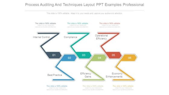 Process Auditing And Techniques Layout Ppt Examples Professional