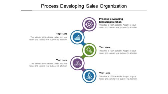 Process Developing Sales Organization Ppt PowerPoint Presentation Gallery Outfit Cpb