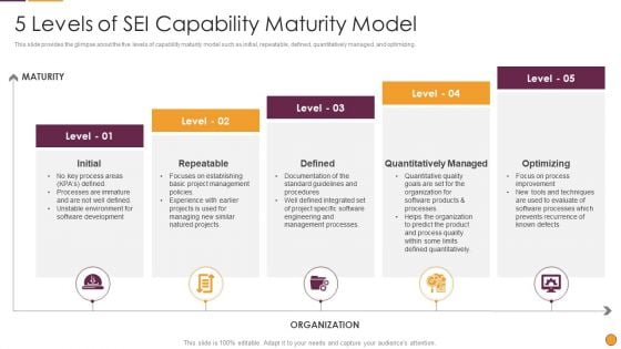 Process Enhancement Program Success 5 Levels Of SEI Capability Maturity Model Ideas PDF