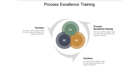 Process Excellence Training Ppt PowerPoint Presentation Ideas Guidelines Cpb
