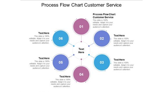 Process Flow Chart Customer Service Ppt PowerPoint Presentation Summary Elements Cpb