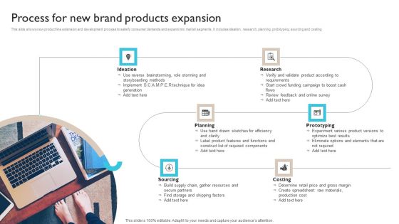 Process For New Brand Products Expansion Ppt Professional Example File PDF