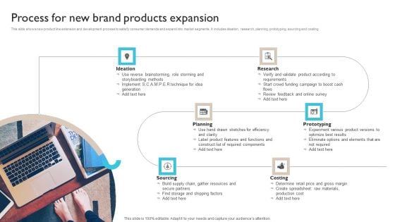 Process For New Brand Products Expansion Ppt Professional Example File PDF