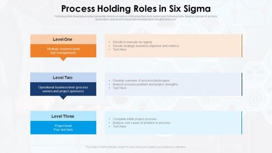 Process Holding Roles In Six Sigma Ppt PowerPoint Presentation File Template PDF