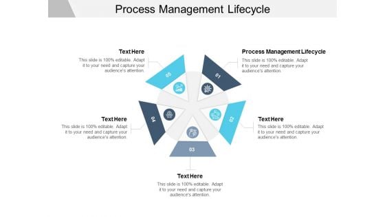 Process Management Lifecycle Ppt PowerPoint Presentation Inspiration Infographic Template Cpb