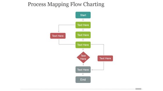 Process Mapping Flow Charting Ppt PowerPoint Presentation Designs Download