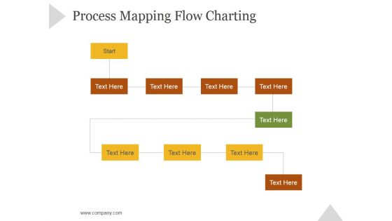 Process Mapping Flow Charting Ppt PowerPoint Presentation Slide Download