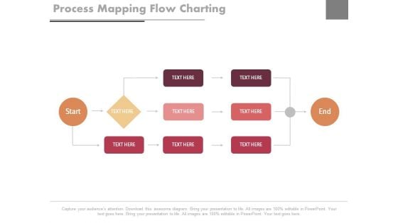 Process Mapping Flow Charting Ppt Slides