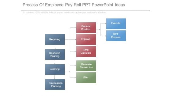 Process Of Employee Pay Roll Ppt Powerpoint Ideas