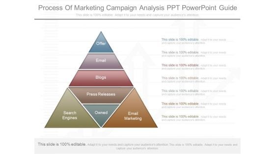 Process Of Marketing Campaign Analysis Ppt Powerpoint Guide