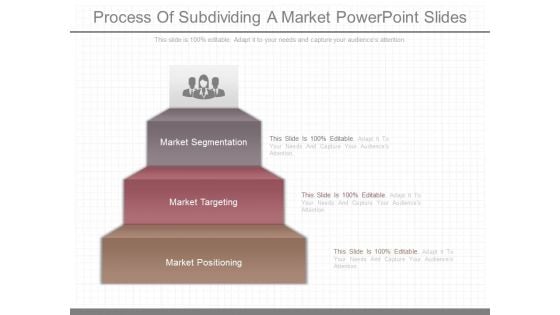 Process Of Subdividing A Market Powerpoint Slides