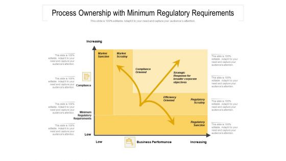 Process Ownership With Minimum Regulatory Requirements Ppt PowerPoint Presentation File Vector PDF