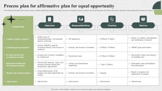 Process Plan For Affirmative Plan For Equal Opportunity Sample PDF