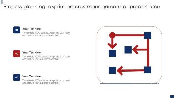 Process Planning In Sprint Process Management Approach Icon Ppt Professional Infographics PDF