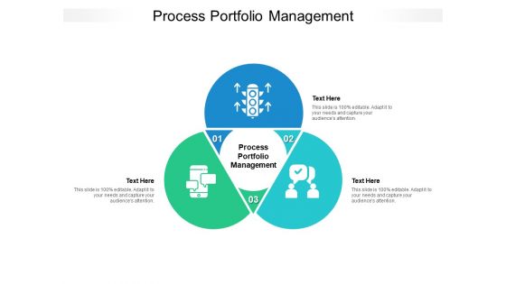 Process Portfolio Management Ppt PowerPoint Presentation Portfolio Templates Cpb Pdf