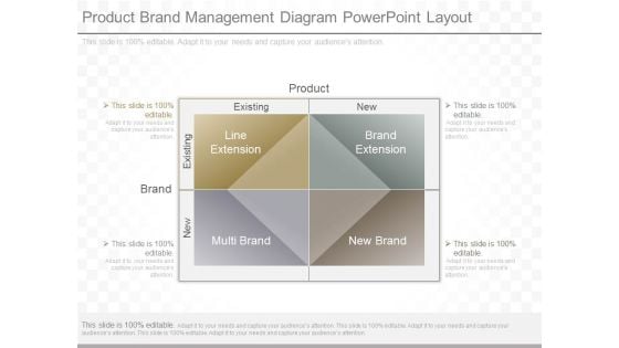 Product Brand Management Diagram Powerpoint Layout