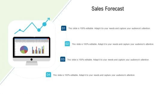 Product Commercialization Action Plan Sales Forecast Microsoft PDF