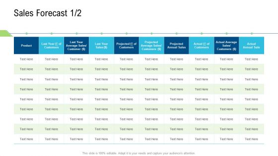 Product Commercialization Action Plan Sales Forecast Projected Themes PDF