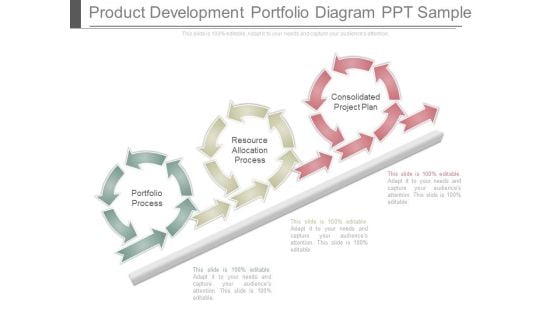 Product Development Portfolio Diagram Ppt Sample