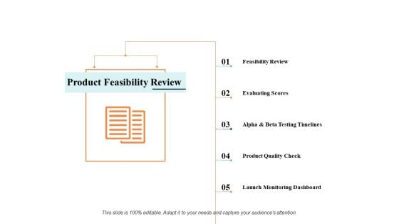 Product Feasibility Review Ppt PowerPoint Presentation Infographics Graphics Template