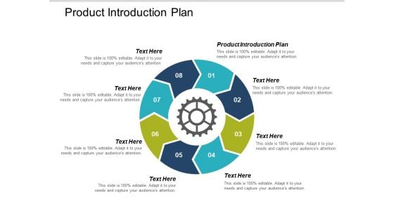 Product Introduction Plan Ppt PowerPoint Presentation Inspiration Graphics Design Cpb