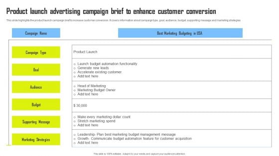 Product Launch Advertising Campaign Brief To Enhance Customer Conversion Professional PDF