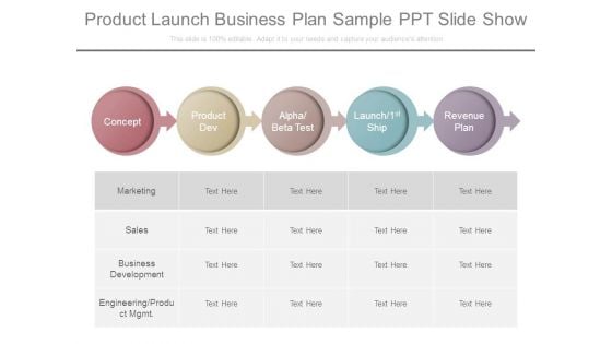 Product Launch Business Plan Sample Ppt Slide Show