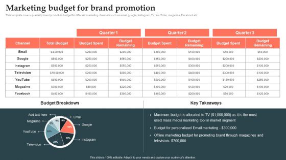 Product Launch Strategy Marketing Budget For Brand Promotion Ppt Layouts Smartart PDF