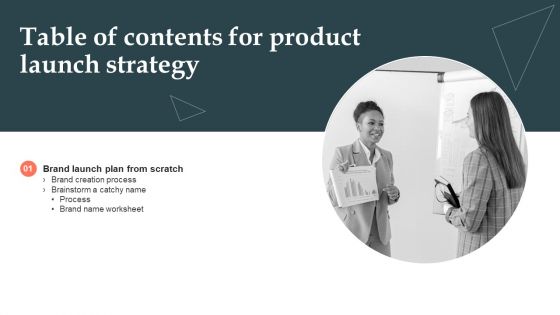 Product Launch Strategy Table Of Contents Ppt PowerPoint Presentation File Professional PDF