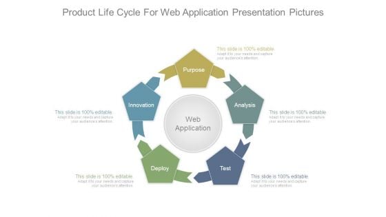 Product Life Cycle For Web Application Presentation Pictures
