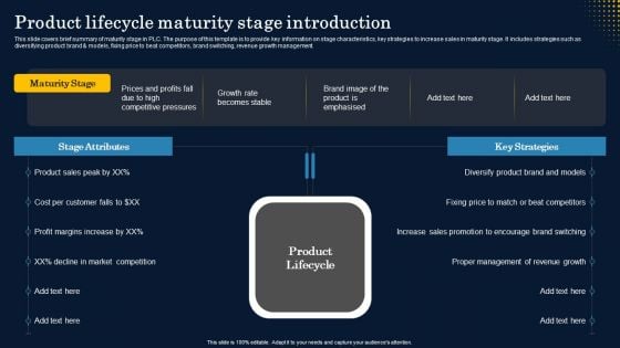 Product Lifecycle Maturity Stage Introduction Diagrams PDF