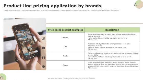 Product Line Pricing Application By Brands Ideas PDF