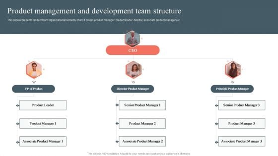 Product Management And Development Team Structure Product Development And Management Plan Brochure PDF