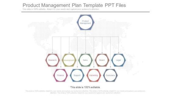 Product Management Plan Template Ppt Files