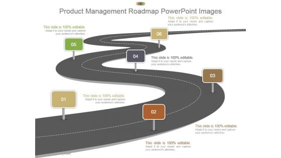 Product Management Roadmap Powerpoint Images