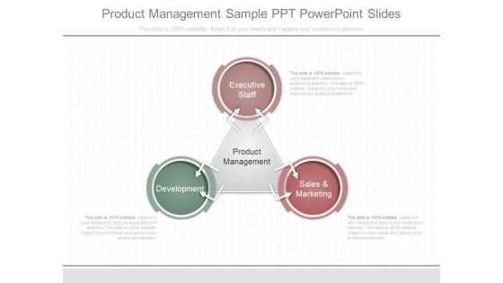 Product Management Sample Ppt Powerpoint Slides