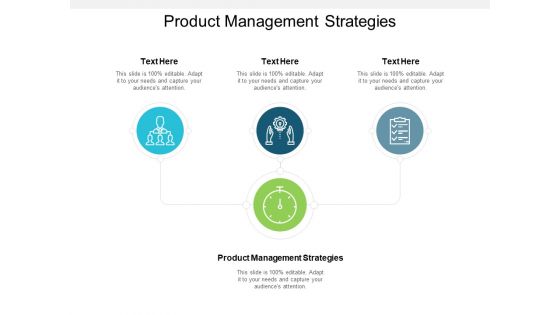 Product Management Strategies Ppt PowerPoint Presentation Professional Example Introduction Cpb