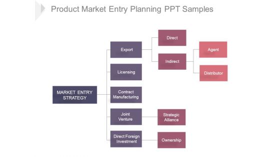 Product Market Entry Planning Ppt Samples