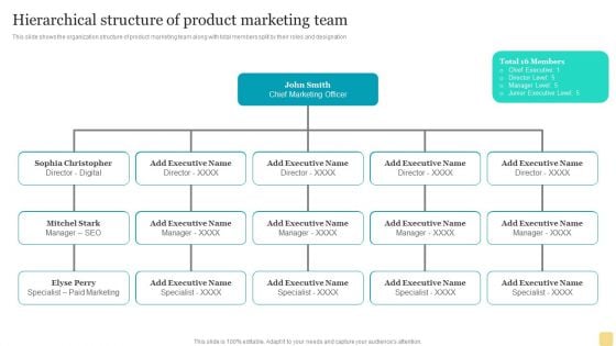 Product Marketing Plan To Enhance Organizational Growth Hierarchical Structure Of Product Marketing Team Structure PDF