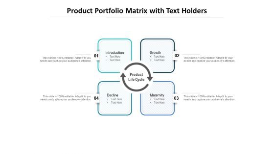 Product Portfolio Matrix With Text Holders Ppt PowerPoint Presentation Infographics Guidelines