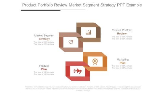 Product Portfolio Review Market Segment Strategy Ppt Example