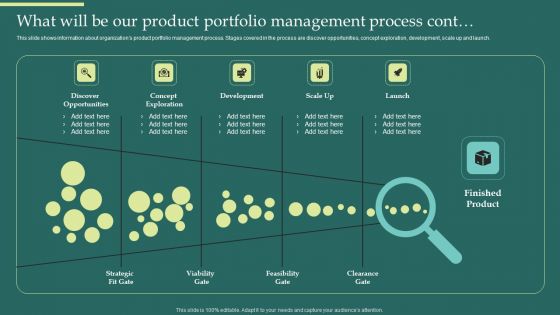 Product Portfolios And Strategic What Will Be Our Product Portfolio Management Mockup PDF