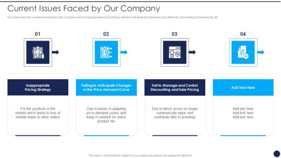 Product Pricing Strategies Analysis Current Issues Faced By Our Company Portrait PDF