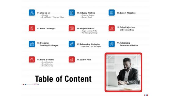 Product Relaunch And Branding Table Of Content Ppt Model Example File PDF