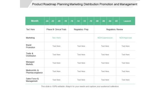 Product Roadmap Planning Marketing Distribution Promotion And Management Ppt PowerPoint Presentation Summary Tips Product Roadmap Planning Marketing Distribution Promotion And Management Ppt PowerPoint Presentation Summary Tips