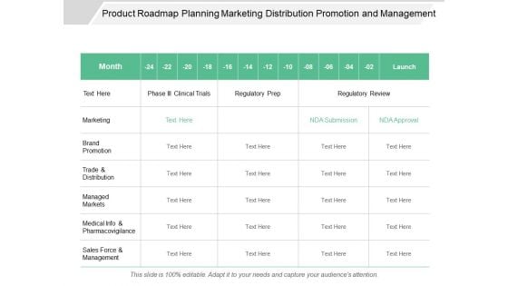 Product Roadmap Planning Marketing Distribution Promotion And Management Ppt PowerPoint Presentation Summary Tips