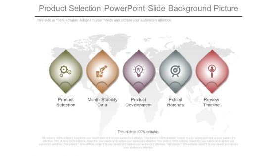 Product Selection Powerpoint Slide Background Picture