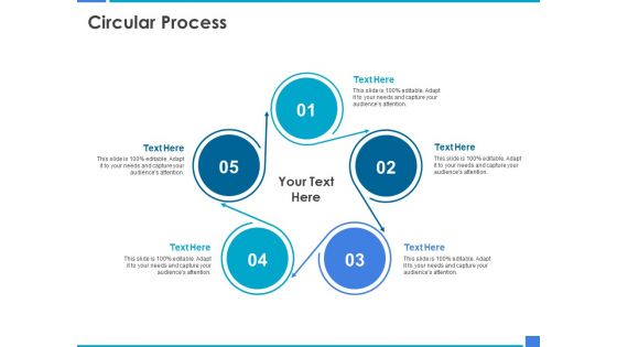 Product Strategy And Product Management Implementation Circular Process Ppt Icon Background Image PDF