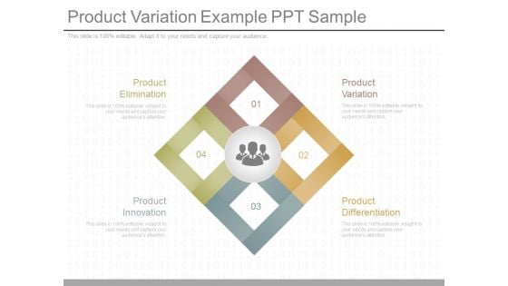 Product Variation Example Ppt Sample