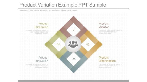 Product Variation Example Ppt Sample